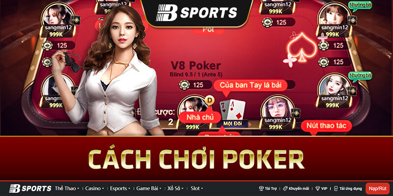 Tổng quan về cách chơi poker Tổng quan về cách chơi poker