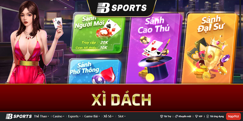 Bài Xì dách và những thông tin cơ bản nhất Bài Xì dách và những thông tin cơ bản nhất