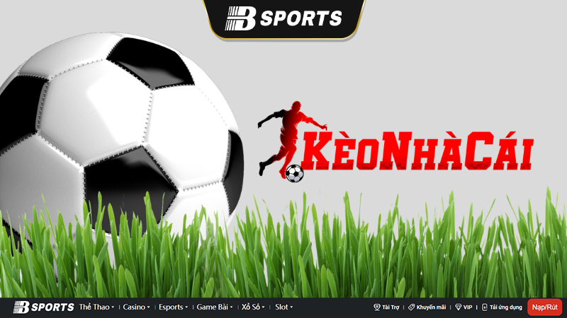 Tìm hiểu nhà cái này cùng Bsports Tìm hiểu nhà cái này cùng Bsports