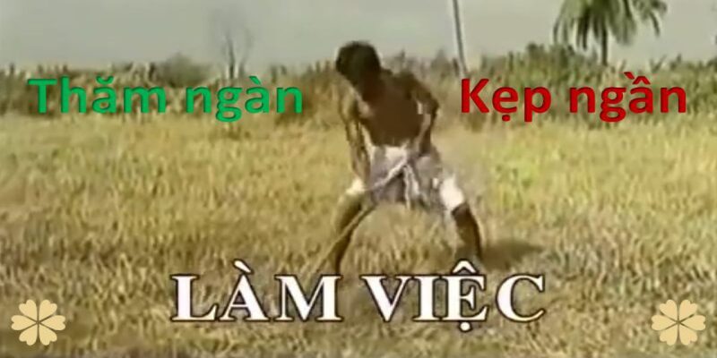 Nguồn gốc của từ Thăm ngàn Nguồn gốc của từ Thăm ngàn