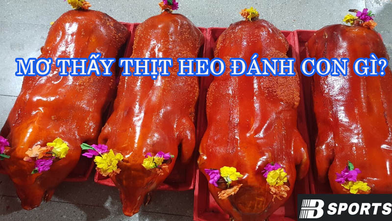 Truy tìm số đẹp khi nằm mơ thấy thịt heo Truy tìm số đẹp khi nằm mơ thấy thịt heo