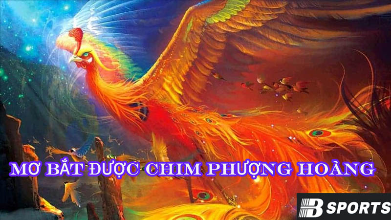 Nằm mơ bắt được chim Phượng Hoàng Nằm mơ bắt được chim Phượng Hoàng